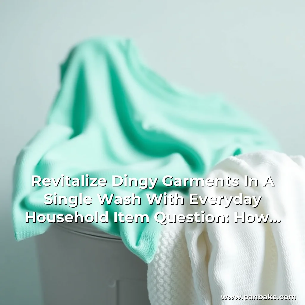 Read more about the article Revitalize Dingy Garments In A Single Wash With Everyday Household Item

Question: How Can I Effectively Whiten My Tops And Socks Using A Common Household Product In One Wash?